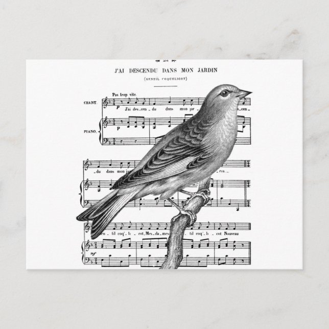 Vintage French Bird Song Music Postcard (Front)