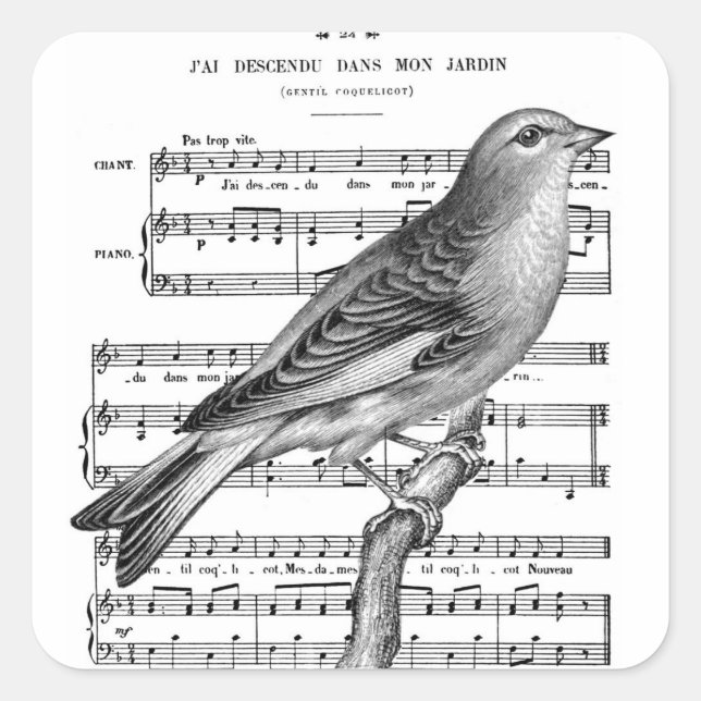 Vintage French Bird Song Music Square Stickers (Front)