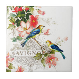 Vintage French Birds Design White Tile