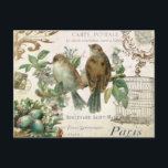 Vintage French Birds postcard<br><div class="desc">Vintage French Birds postcard</div>