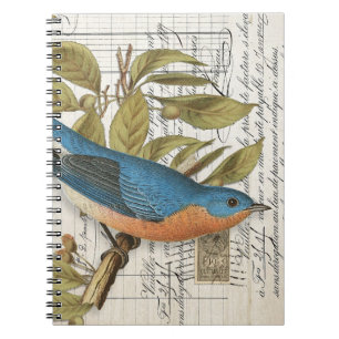 Vintage French Bluebird Spiral Journal Notebook 