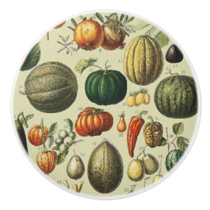 Vintage French Botanical Fruit Poster Art Ceramic Knob