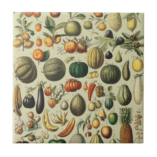 Vintage French Botanical Fruit Poster Art Ceramic Tile (Front)