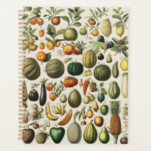 Vintage French Botanical Fruit Poster Art Planner