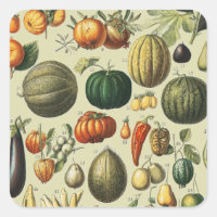 Vintage French Botanical Fruit Poster Art