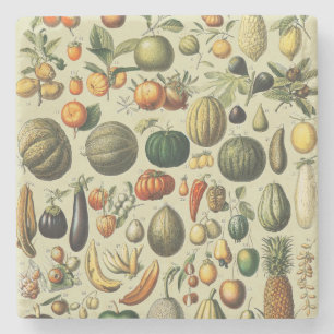Vintage French Botanical Fruit Poster Art Stone Coaster