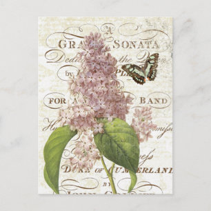 Vintage French Botanical lilac postcard