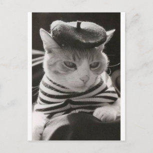 Vintage french cat postcard