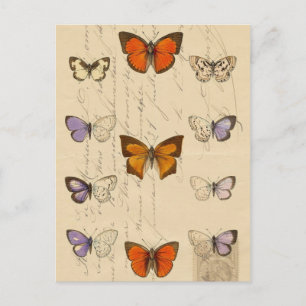 Vintage French Chic Butterflies Pattern Postcard
