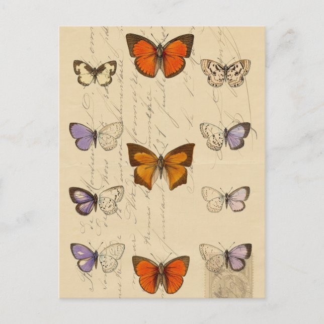Vintage French Chic Butterflies Pattern Postcard (Front)
