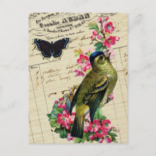 Vintage French Chic Spring Bird Collage Postcard