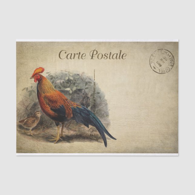 Vintage French Chicken Decoupage Postcard Tissue Paper (Front)