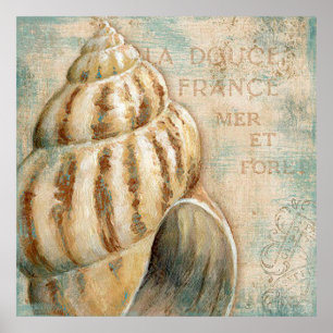 Vintage French Conch Shell Poster