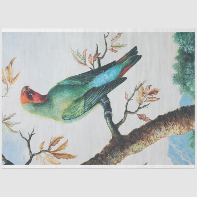 Vintage French Country Tropical Bird Decoupage Tissue Paper (Front)