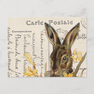 Vintage French Easter Rabbit Daffodil Postcard