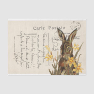 Vintage French Easter Rabbit Daffodil Postcard Tissue Paper
