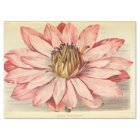 Vintage French Floral Ephemera Decoupage Pink
