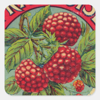 Vintage French Fruit Poster Square Sticker