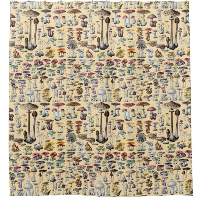 Vintage French Mushroom Cottagecore Botanical Art Shower Curtain (Front)