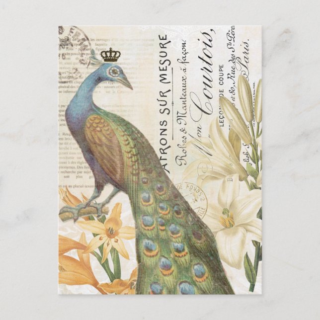 Vintage French peacock floral postcard (Front)