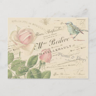 Vintage French Pink Rose Blue Bird Bee Collage Postcard