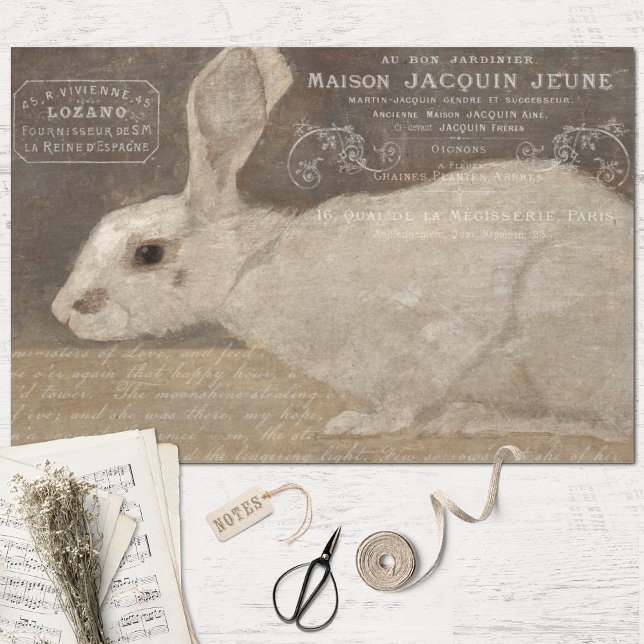 Vintage French Rabbit and Ephemera Decoupage Tissue Paper (Creator Uploaded)