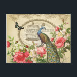 Vintage French Shabby Chic Peacock Postcard<br><div class="desc">Vintage French Shabby Chic Peacock</div>