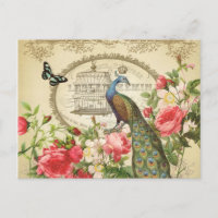 Vintage French Shabby Chic Peacock