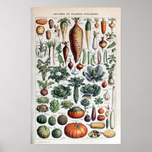 Vintage French Vegetables and Vegetable Plants Poster