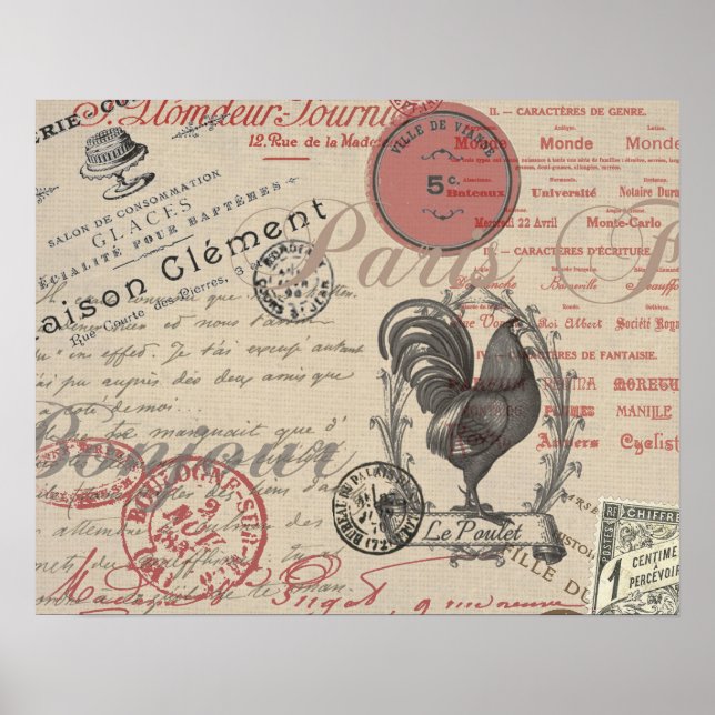 Vintage French Writing Paris Rooster typography Poster (Front)