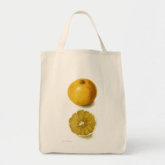 Vintage Fresh Grapefruit Tote Bag