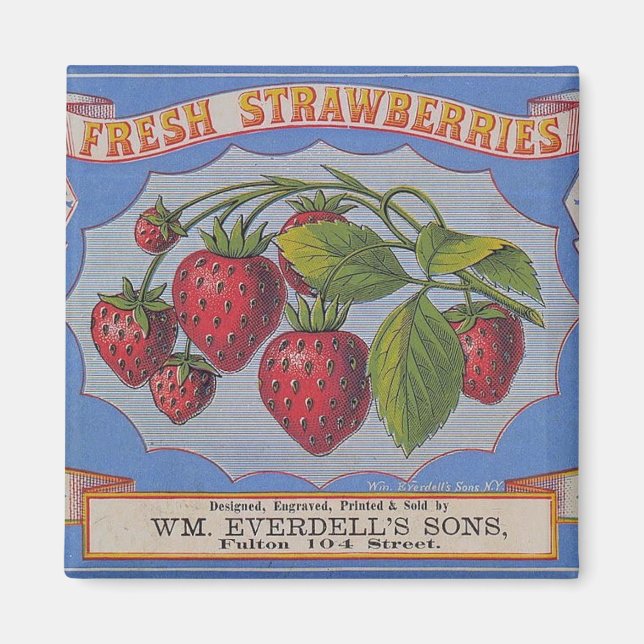 Vintage Fresh Strawberries Magnet (Front)