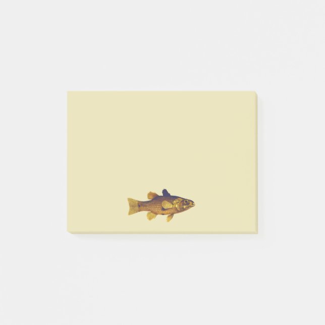 Vintage Freshwater Fish Ilustration Post-it Notes (Front)