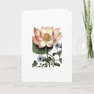 Vintage - Friends Are Like Flowers, Card