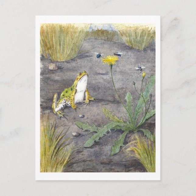 Vintage Frog and Dandelion Postcard (Front)