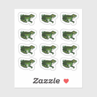 Vintage Frog Illustration Stickers