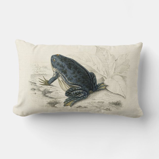 Vintage Frog Lumbar Cushion (Front)