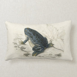 Vintage Frog Lumbar Cushion