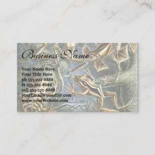 Vintage Frogs and Toads Batrachia by Ernst Haeckel Business Card