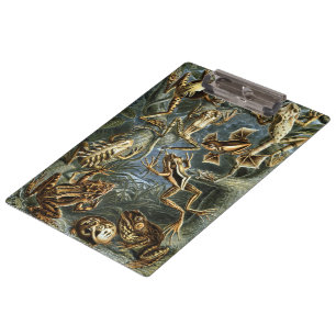 Vintage Frogs and Toads Batrachia by Ernst Haeckel Clipboard