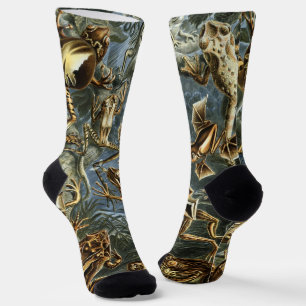 Vintage Frogs and Toads Batrachia by Ernst Haeckel Socks
