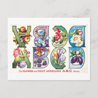 Vintage Fruit and Flower Alphabet A-D Postcard