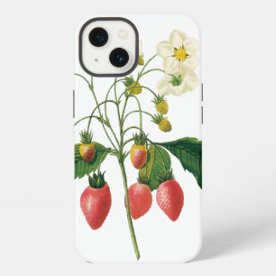 Vintage Fruit Berries Food Strawberries by Redoute iPhone Case