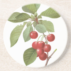 Vintage Fruit Cherry Food, Cherries by Redoute Coaster