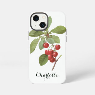 Vintage Fruit Cherry Food, Cherries by Redoute iPhone Case