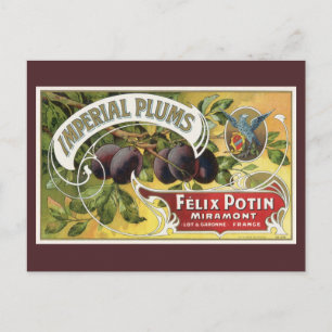 Vintage Fruit Crate Label Art, Imperial Plums Postcard