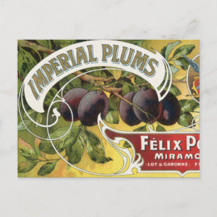 Vintage Fruit Crate Label Art, Imperial Plums Postcard