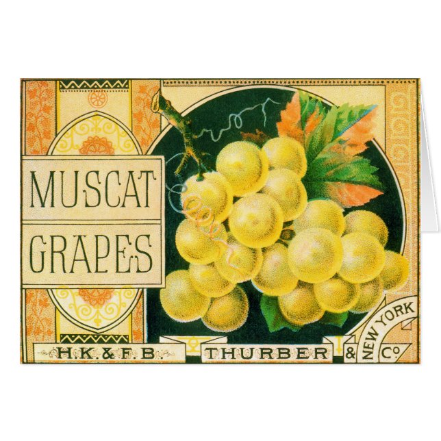 Vintage Fruit Crate Label Art, Muscat Grapes (Front Horizontal)