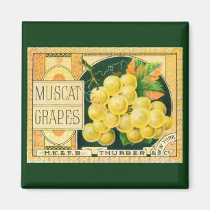 Vintage Fruit Crate Label Art, Muscat Grapes Magnet