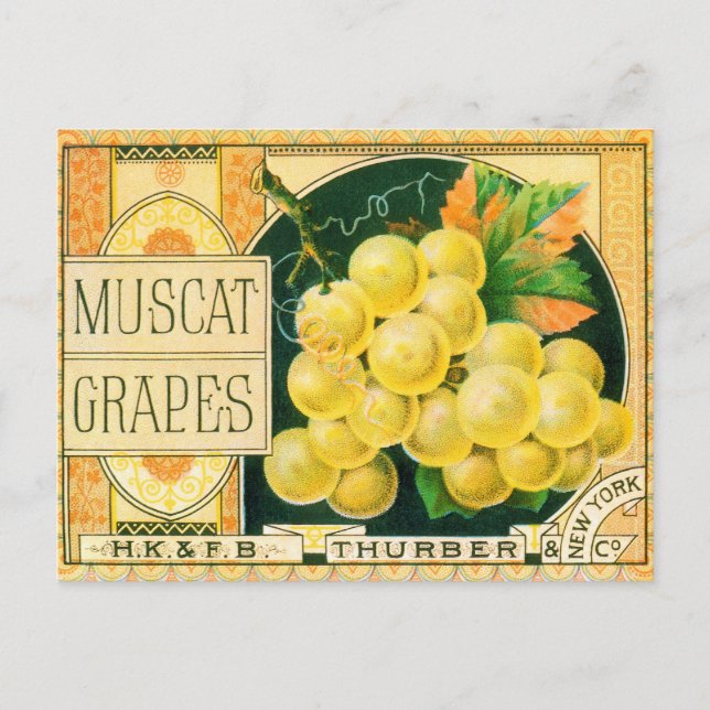 Vintage Fruit Crate Label Art, Muscat Grapes Postcard (Front)